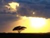 Amboseli Sunset